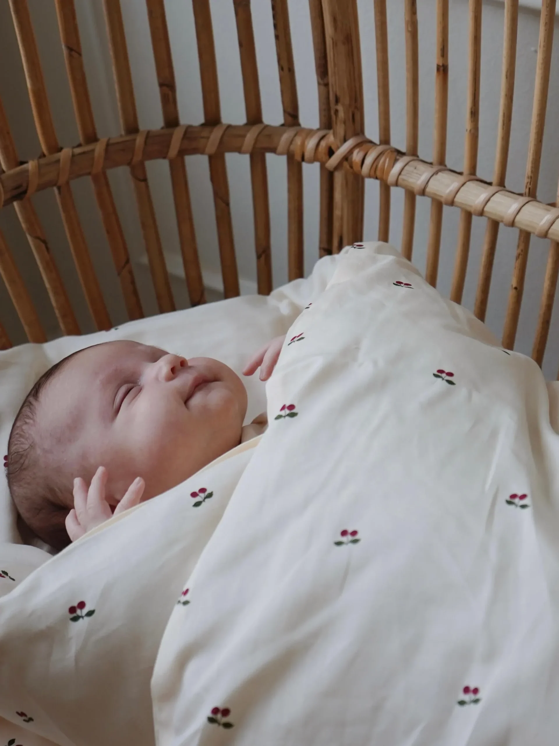 Biancheria da letto per bambini in cotone organico Cherry, varie misure