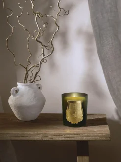 Candela profumata fatta a mano Ernesto (chiodi di garofano, labdano, legno di quercia e patchouli)