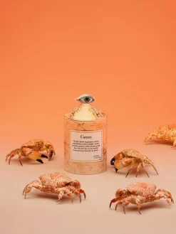 Candela profumata fatta a mano Cancer (bergamotto & vetiver)