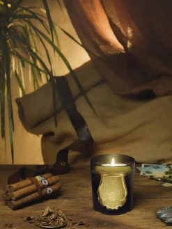 Candela profumata fatta a mano Cyrnos (fico nero, legno di cedro, lavanda e pino)
