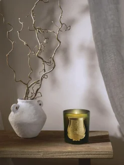 Candela profumata fatta a mano Cyrnos (fico nero, legno di cedro, lavanda e pino)