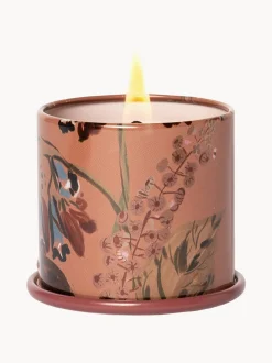 Candela profumata Vanity Tin (muschio di cashmere, foglia di tabacco e arancia)