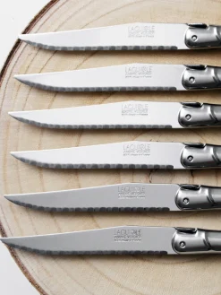 Ceppo con 6 coltelli Debutant Inox
