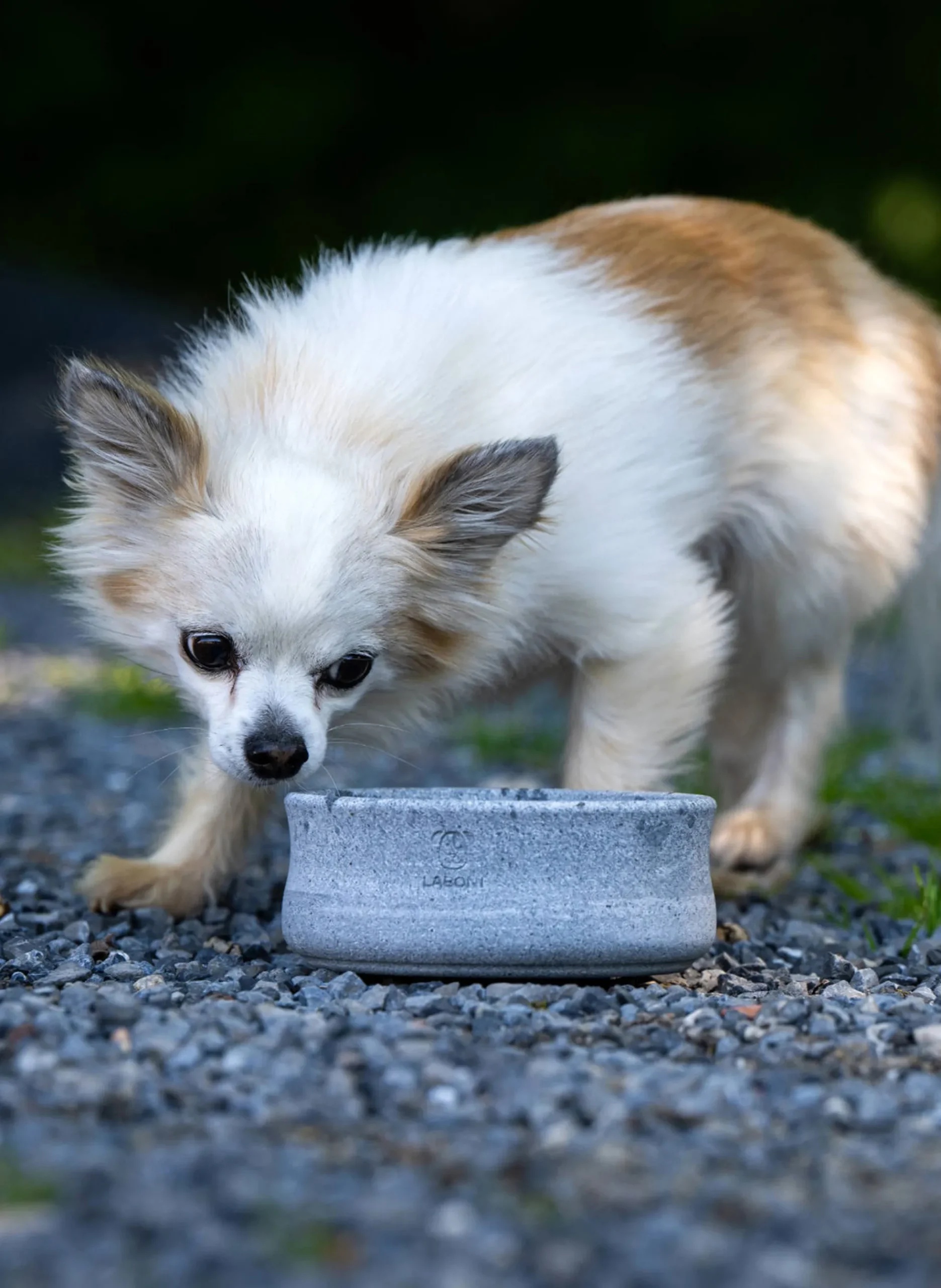 Ciotola per animali fatta a mano Rocky, varie misure