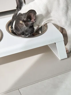 Ciotola per cani con supporto Desco, alt. 10 cm