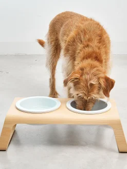 Ciotola per cani con supporto Desco, alt. 17 cm
