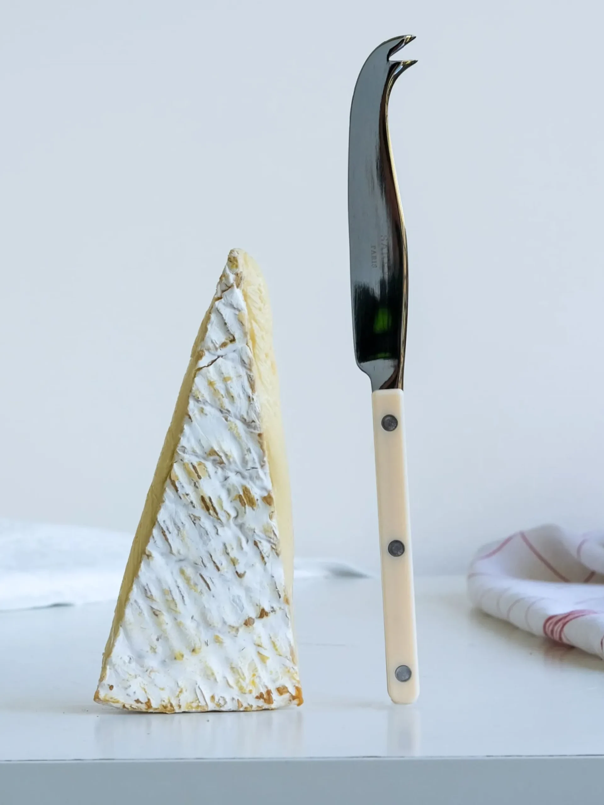 Coltello per formaggio in acciaio inossidabile Bistrot
