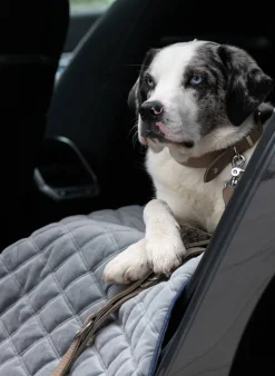 Coperta per animali trapuntata Oxford, varie misure