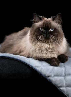 Coperta per animali trapuntata Oxford, varie misure