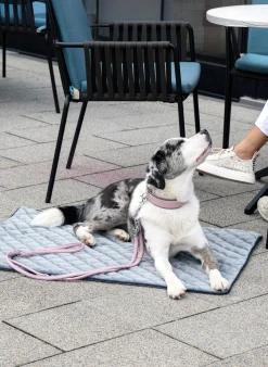 Coperta per animali trapuntata Oxford, varie misure