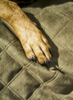 Copertina per animali Oxford, varie misure