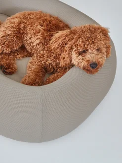 Cuccia per cani Barca, varie misure
