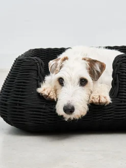 Cuccia per cani da interno-esterno Mio, in diverse misure