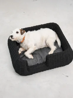 Cuccia per cani da interno-esterno Mio, in diverse misure