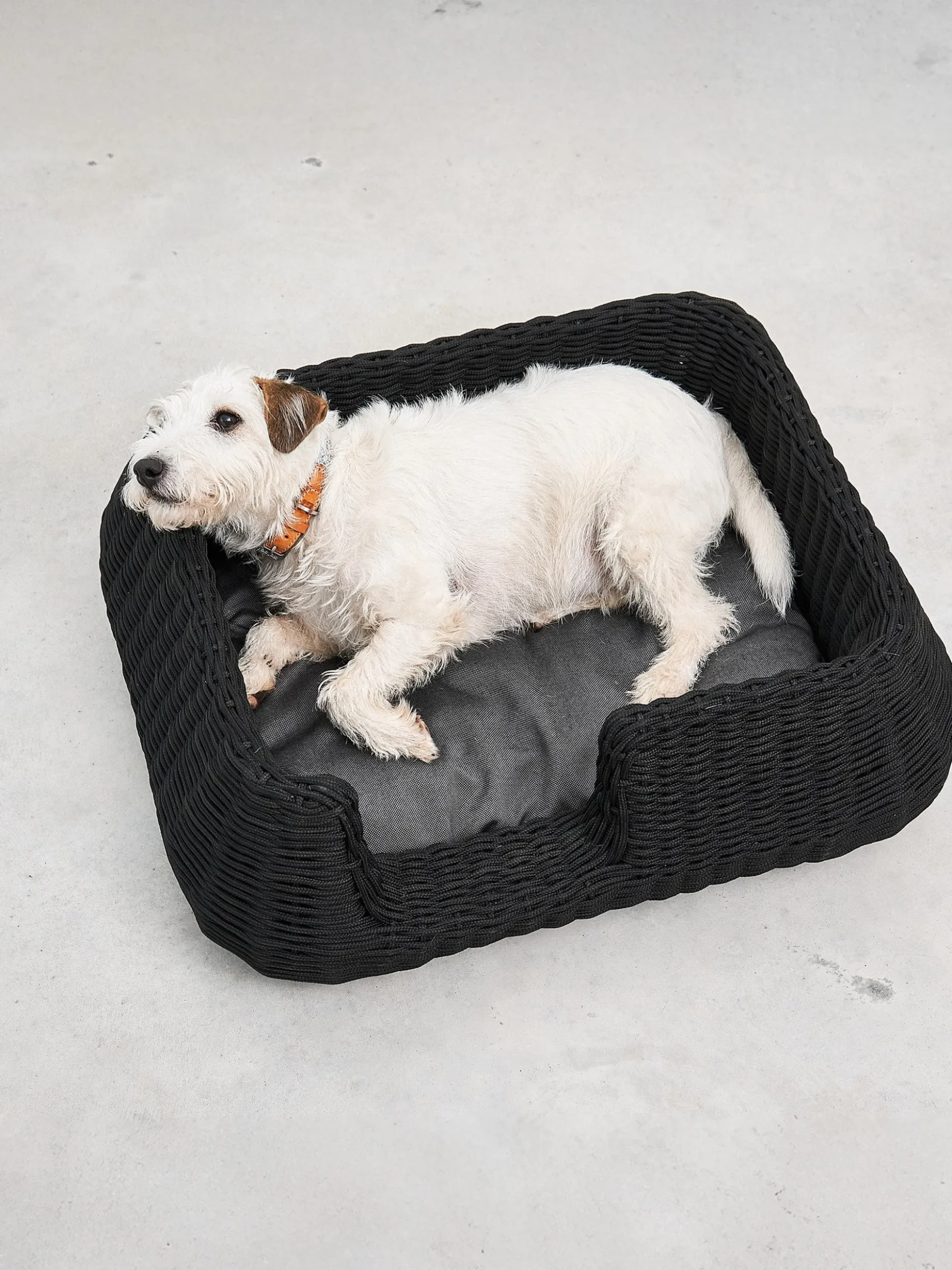 Cuccia per cani da interno-esterno Mio, in diverse misure