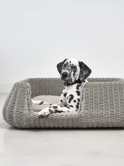 Cuccia per cani da interno-esterno Mio, in diverse misure