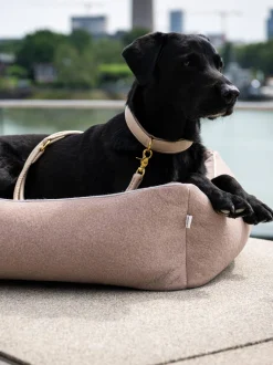 Cuccia per cani in velluto Buffalo, varie misure
