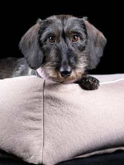 Cuccia per cani in velluto Buffalo, varie misure