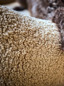 Cuccia per cani Teddy, varie misure