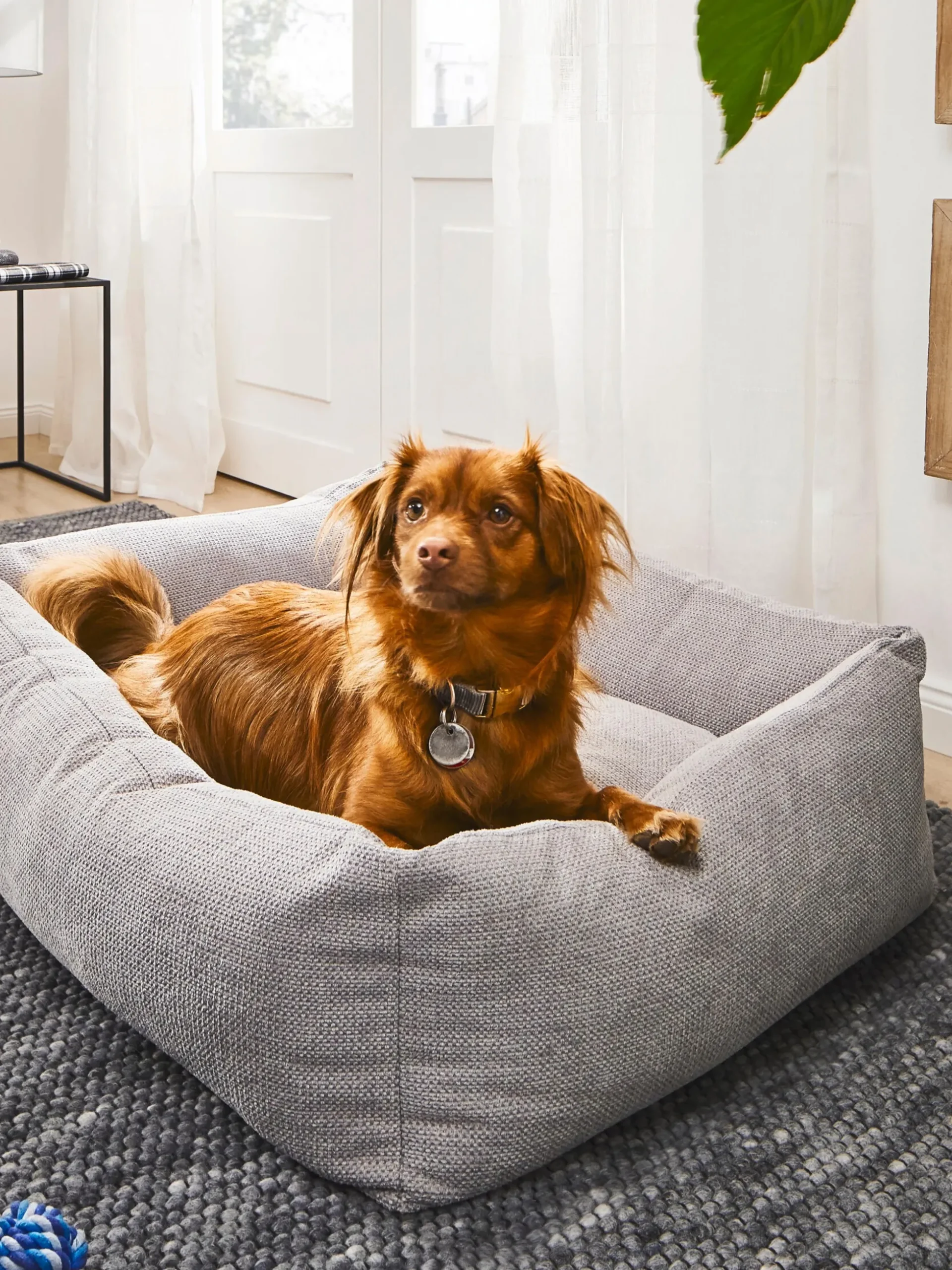 Cuccia per cani Tudor, varie misure