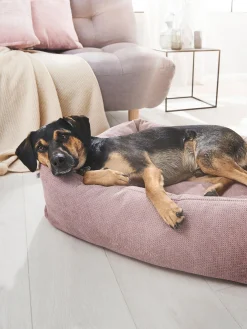 Cuccia per cani Tudor, varie misure