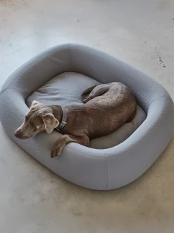 Cuccia per cani Barca, varie misure