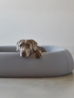 Cuccia per cani Barca, varie misure