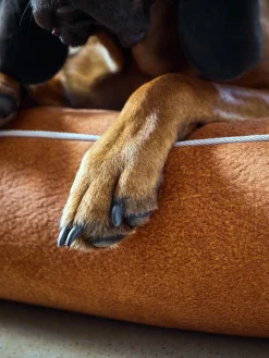 Cuccia per cani in velluto Buffalo, varie misure