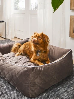 Cuccia per cani in velluto Oxford, varie misure