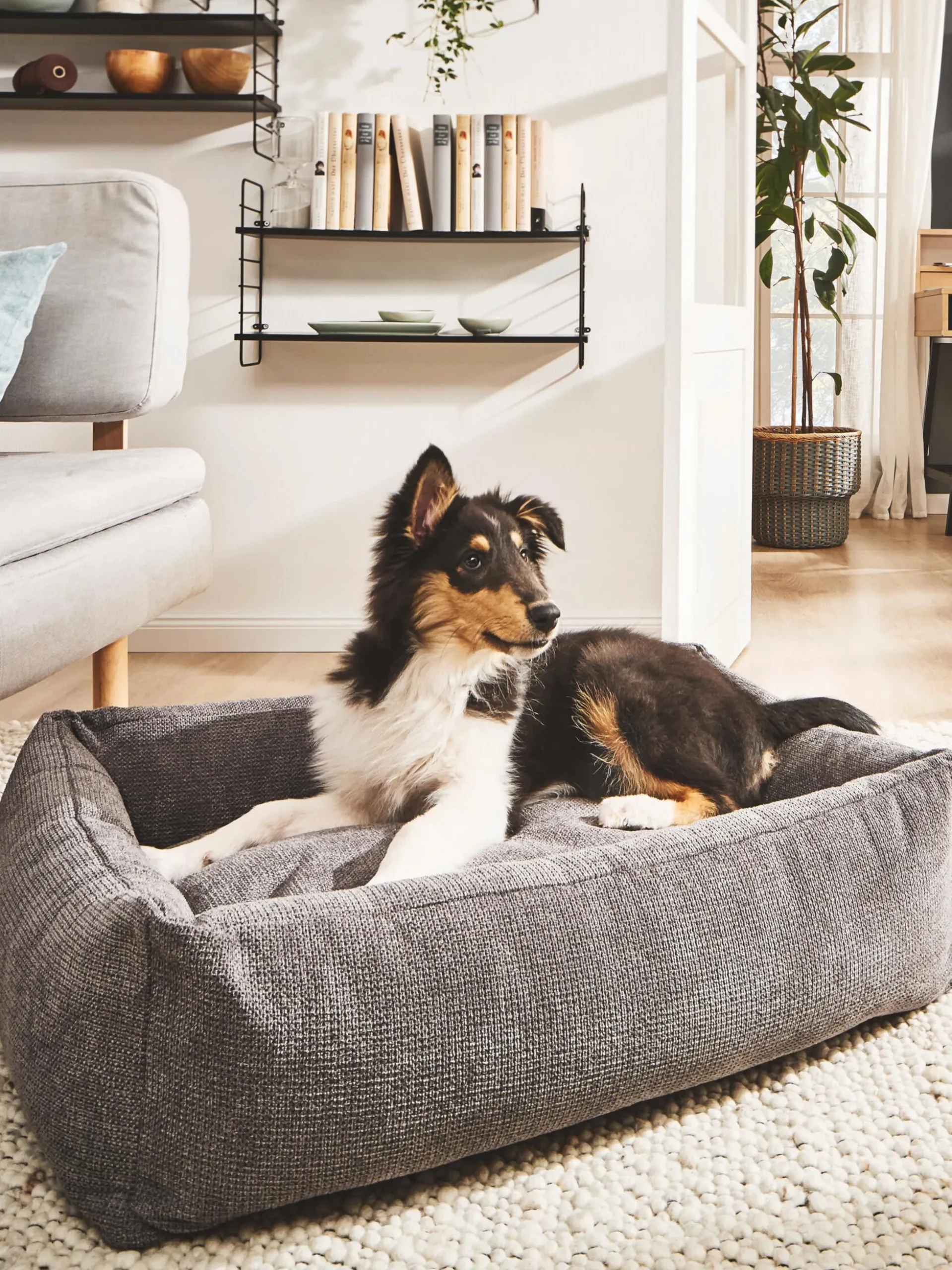Cuccia per cani Tudor, varie misure