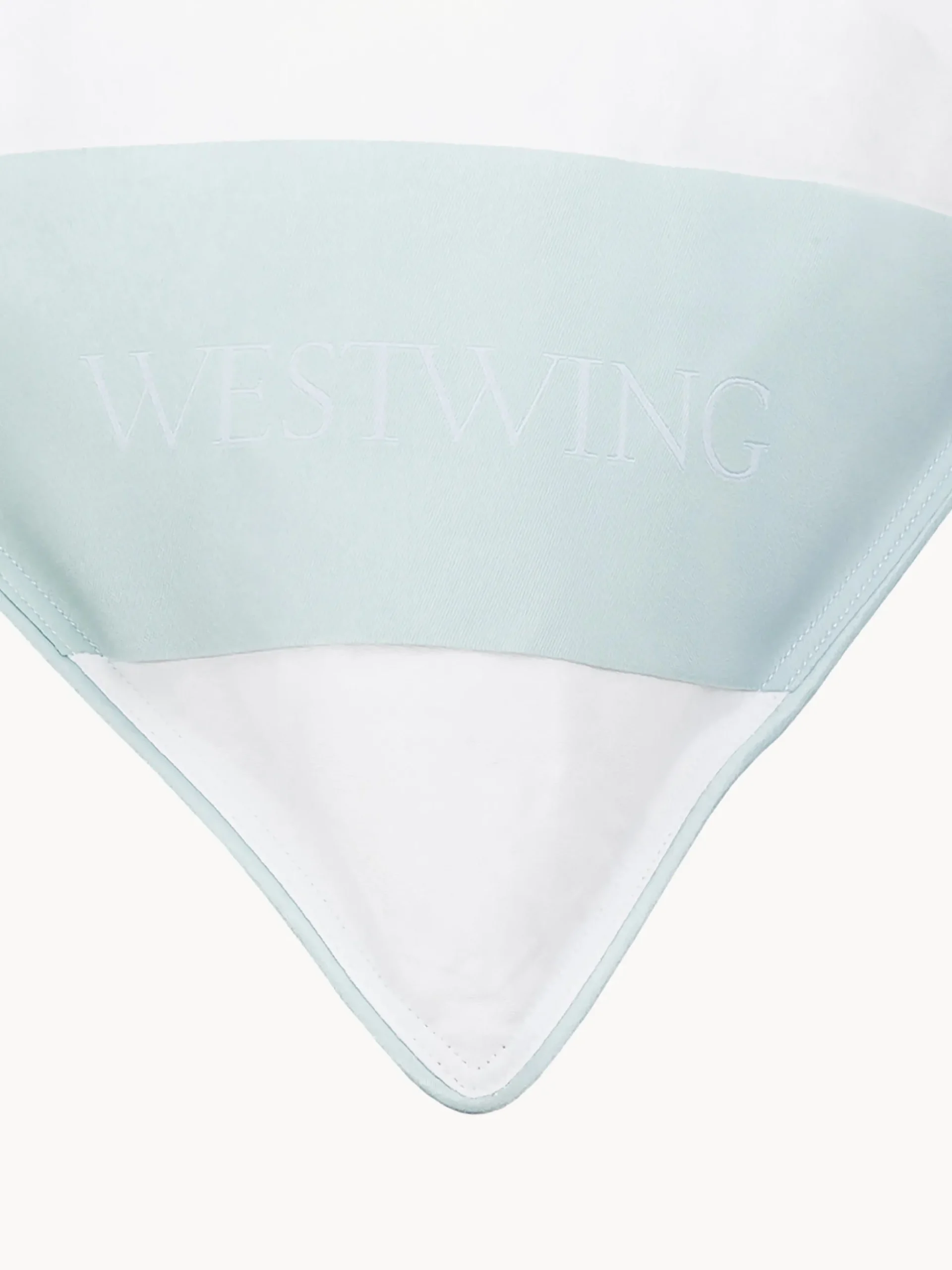 Cuscino medio con piume Standard