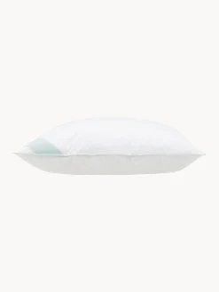 Cuscino medio con piume Standard