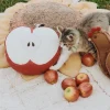 Cuscino in cotone fatto a mano Apple