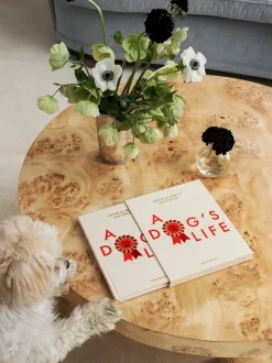 Diario per cani A Dog's Life