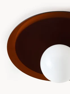 Faretto da parete e soffitto Starling