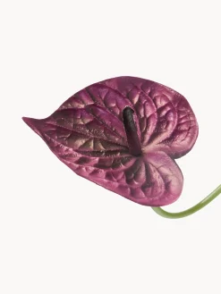 Fiore artificiale Anthurium