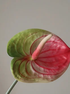 Fiore artificiale Anthurium