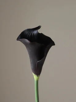 Fiore artificiale Calla Lily