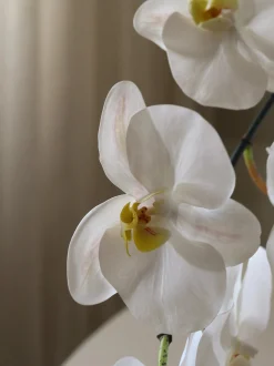 Fiore artificiale Large Orchid