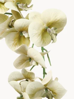 Fiore artificiale Majestic Orchid