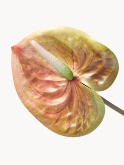 Fiore artificiale Medium Anthurium