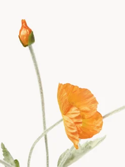 Fiore artificiale Poppy