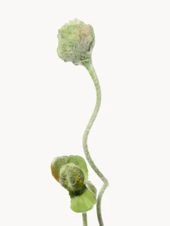 Fiore artificiale Poppy Bud