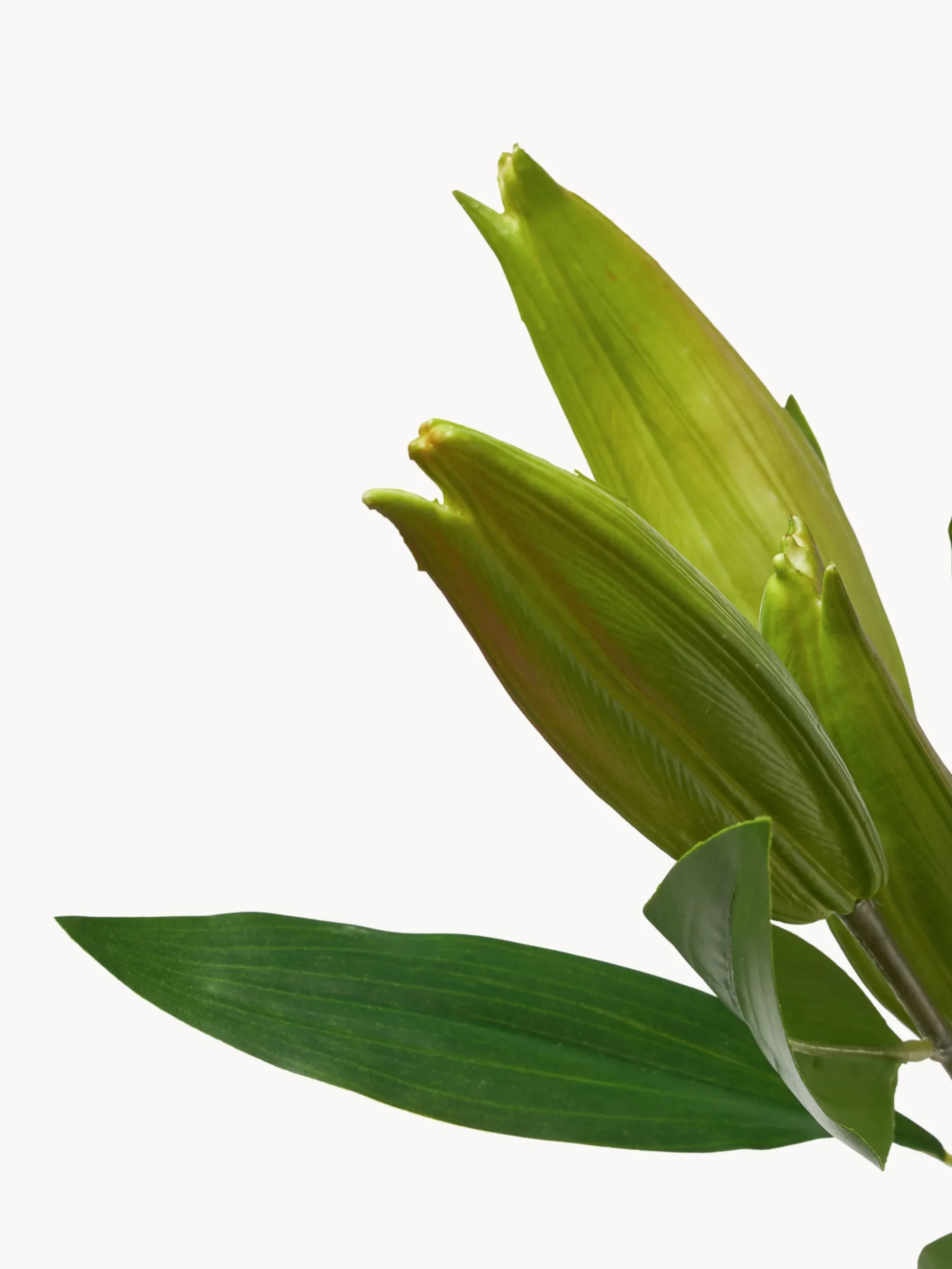 Fiore artificiale Unopened Lily