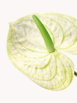 Fiore artificiale Anthurium