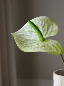 Fiore artificiale Anthurium