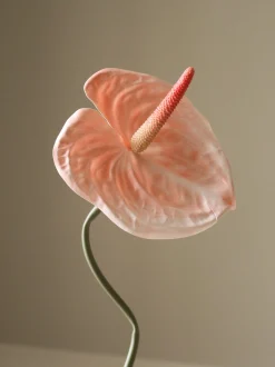 Fiore artificiale Anthurium