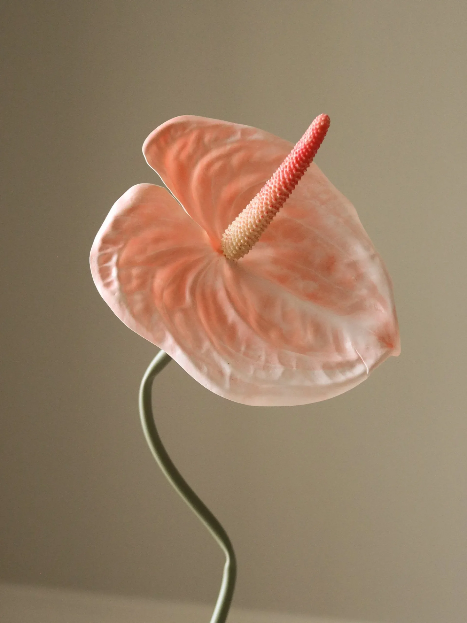 Fiore artificiale Anthurium