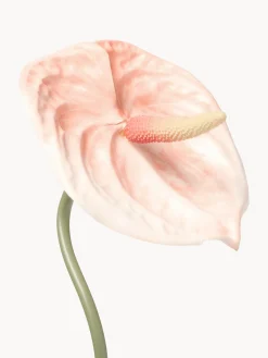 Fiore artificiale Anthurium