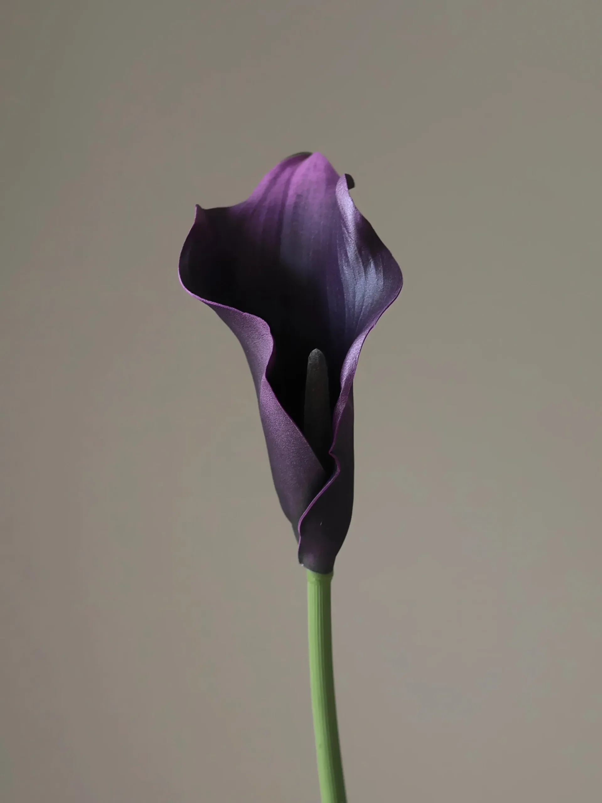 Fiore artificiale Calla Lily